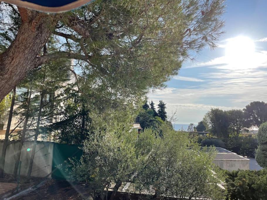 Cassis, Superbe Appartement Avec Terrasse Εξωτερικό φωτογραφία